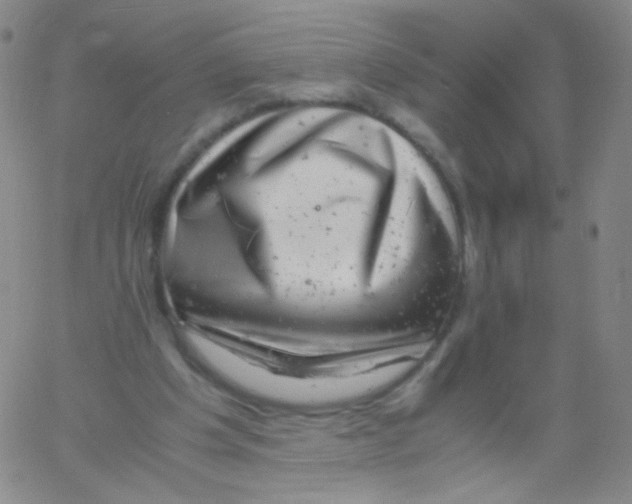 X0000061760201200512231559