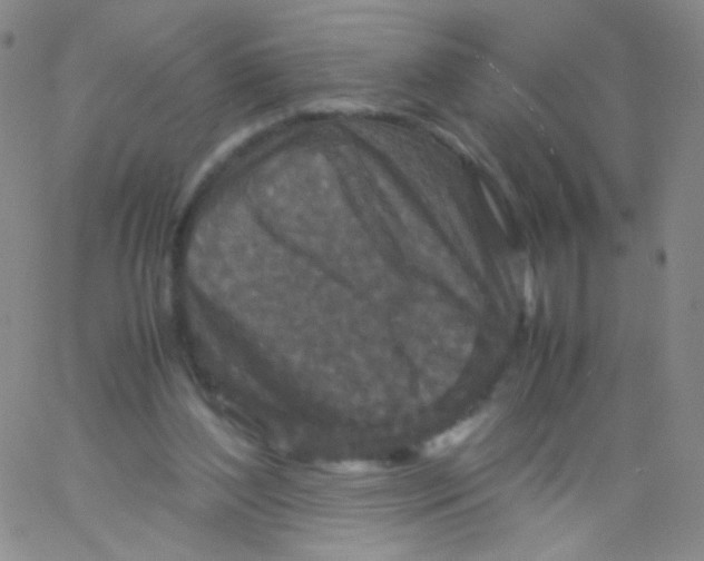 X0000061760204200512231559