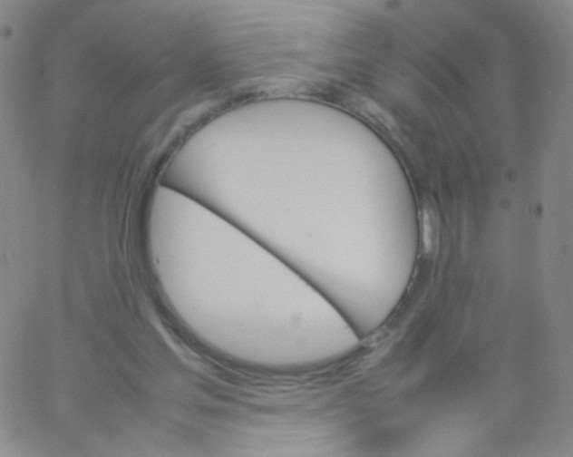 X0000061760205200512231559