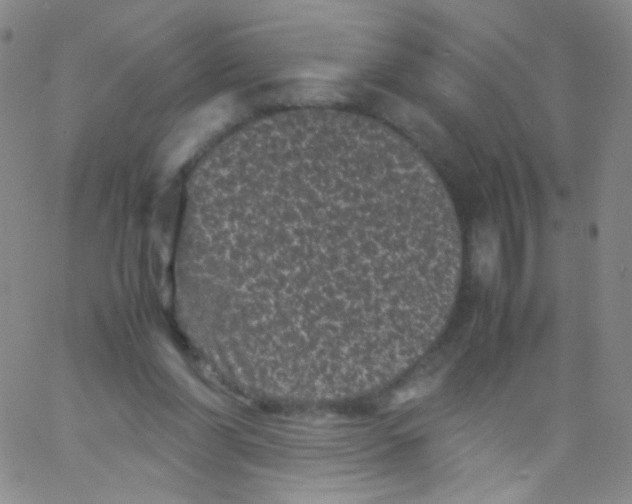 X0000061760206200512231559