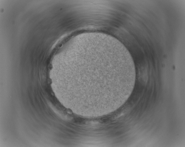 X0000061760208200512231559