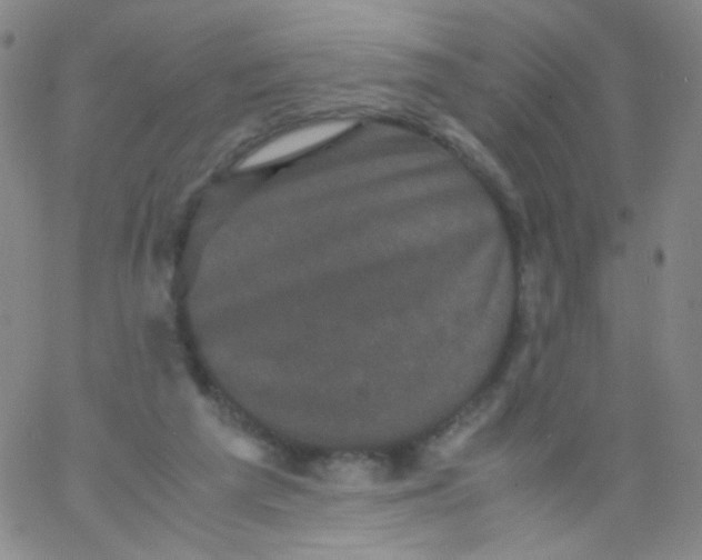 X0000061760209200512231559