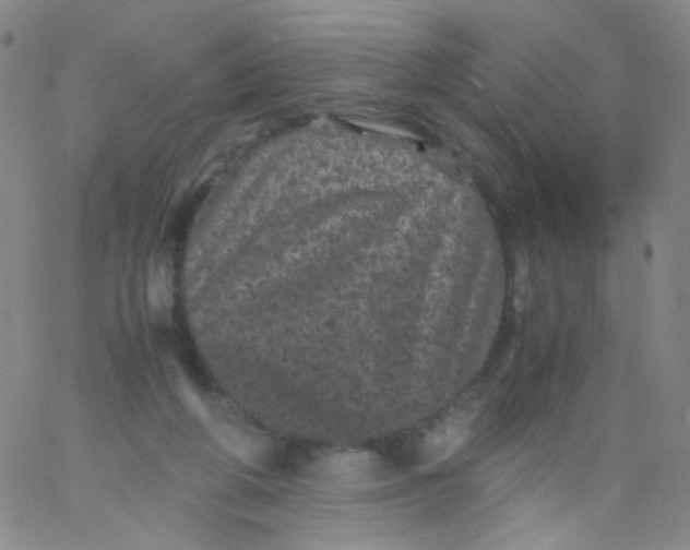 X0000061760210200512231559