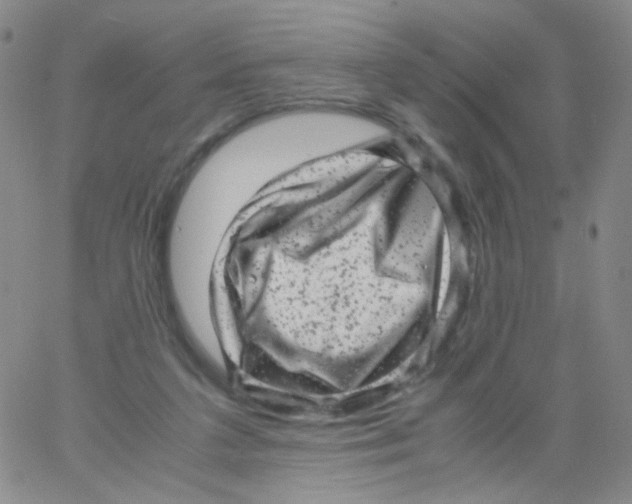 X0000061760211200512231559