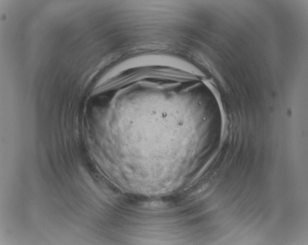 X0000061760212200512231559