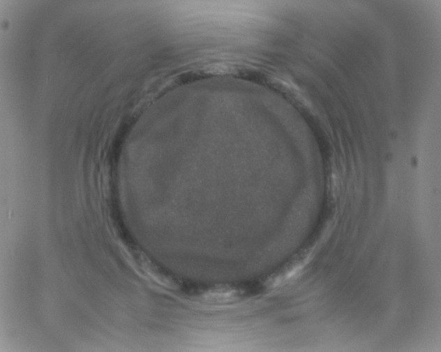 X0000061760213200512231559