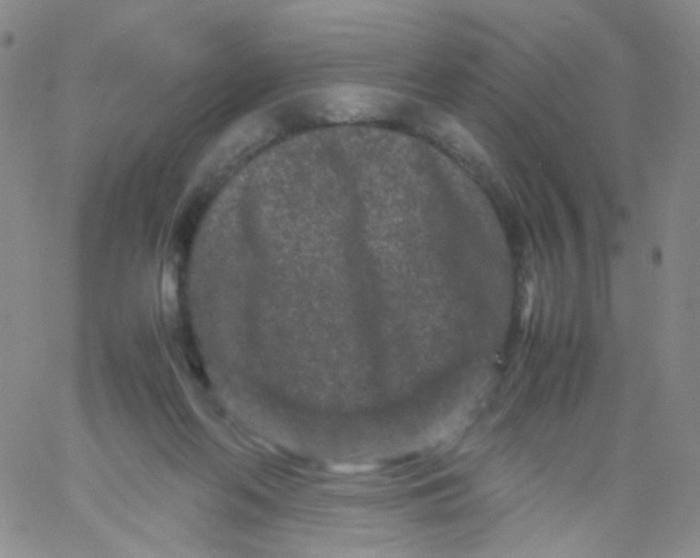 X0000061760214200512231559