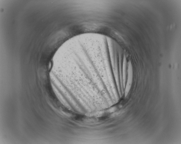 X0000061760215200512231559