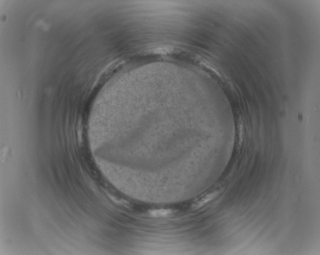 X0000061760216200512231559