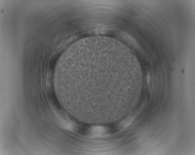 X0000061760218200512231559