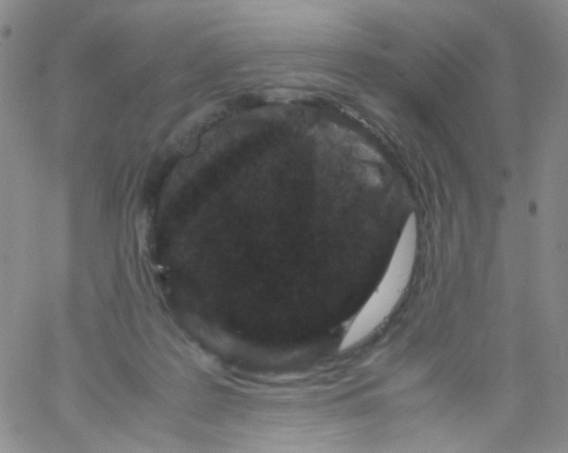 X0000061760219200512231559