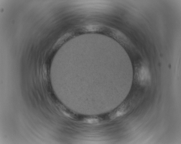 X0000061760220200512231559