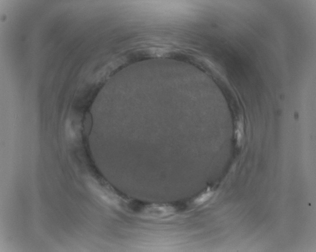 X0000061760221200512231559