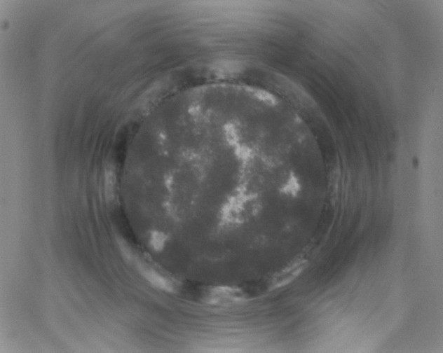 X0000061760222200512231559