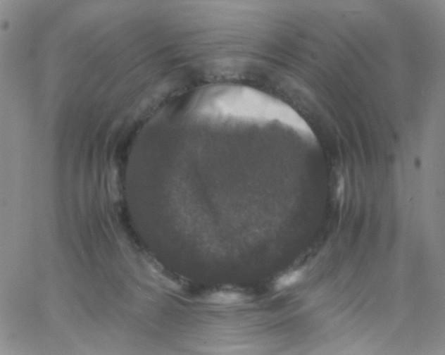 X0000061760224200512231559