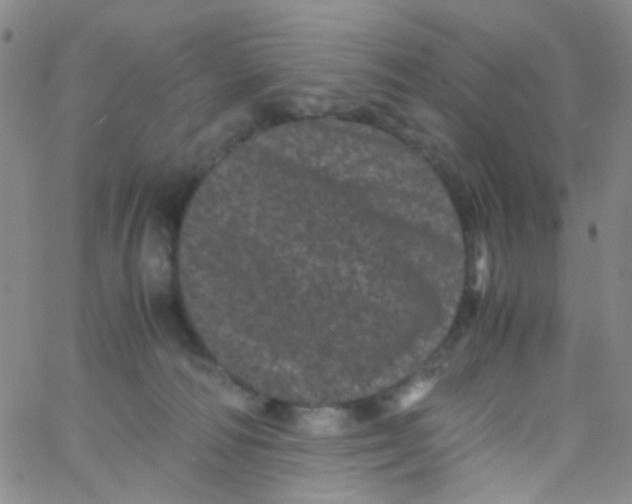 X0000061760226200512231559