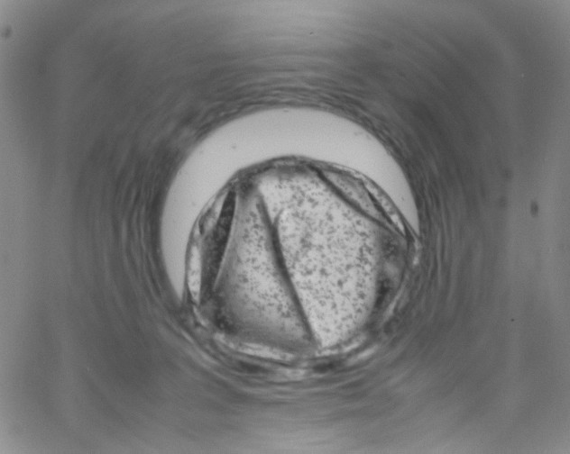 X0000061760227200512231559