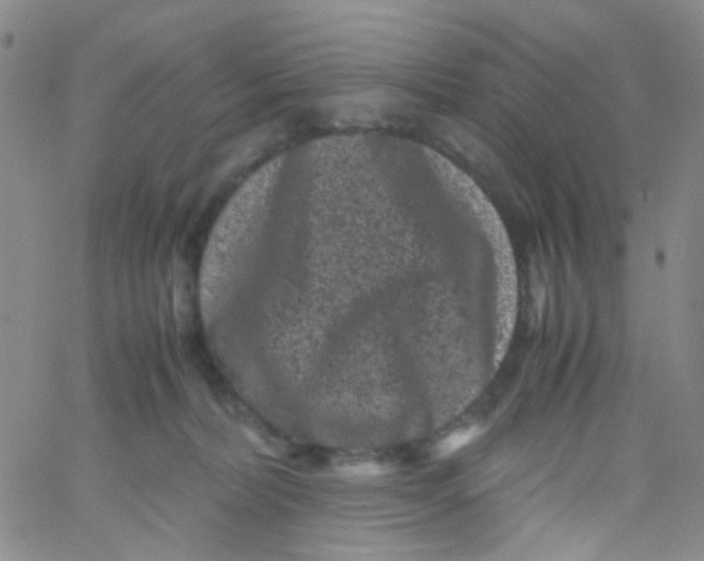 X0000061760228200512231559