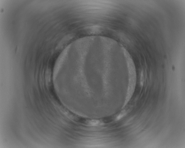 X0000061760230200512231559