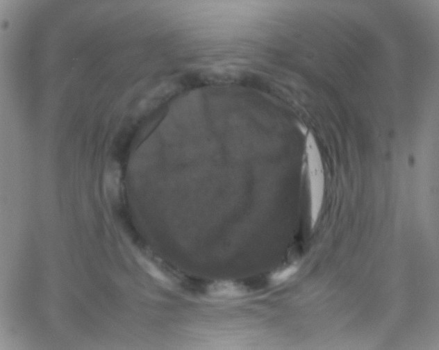 X0000061760231200512231559