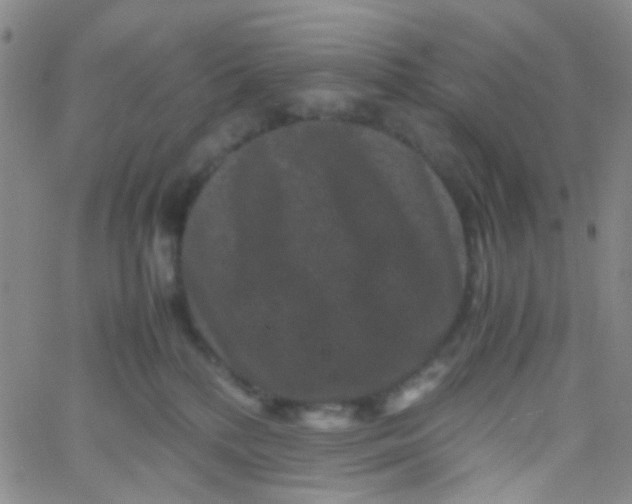 X0000061760232200512231559