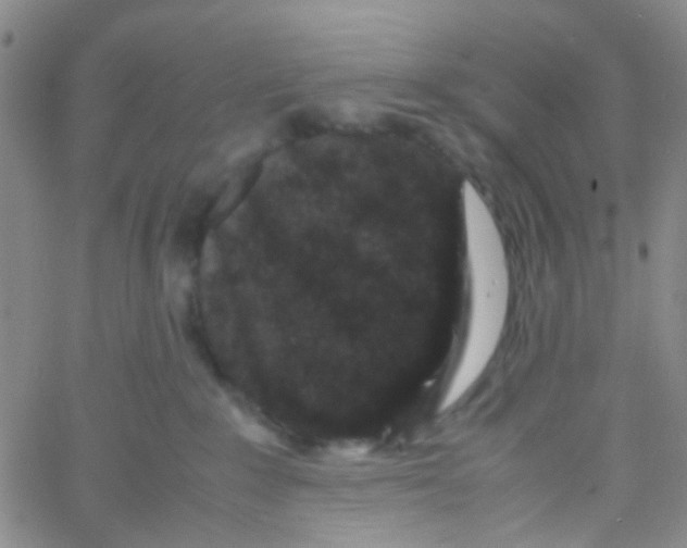 X0000061760235200512231559