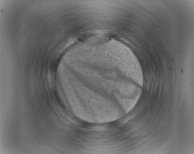 X0000061760236200512231559