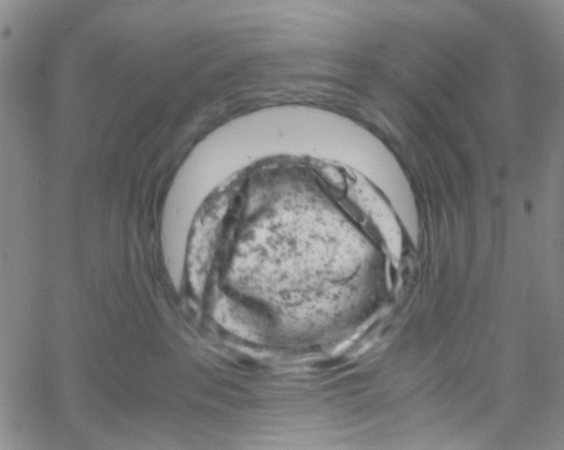 X0000061760237200512231559