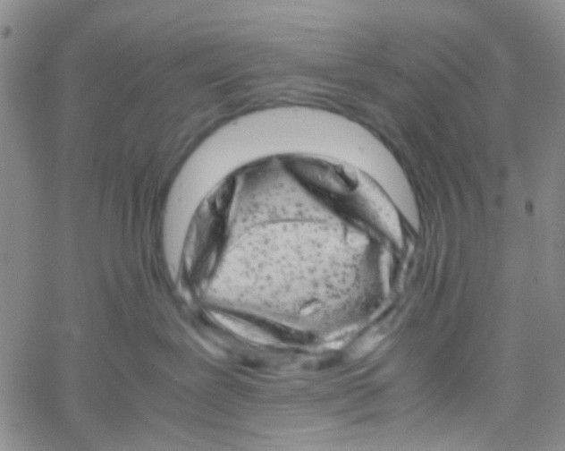 X0000061760239200512231559