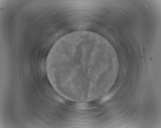 X0000061760240200512231559