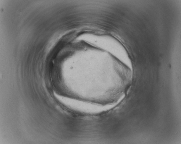 X0000061760241200512231558