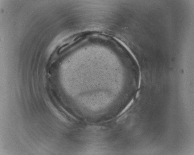 X0000061760242200512231558