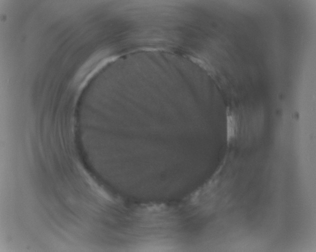 X0000061760243200512231558