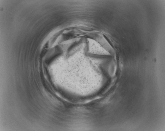 X0000061760244200512231558