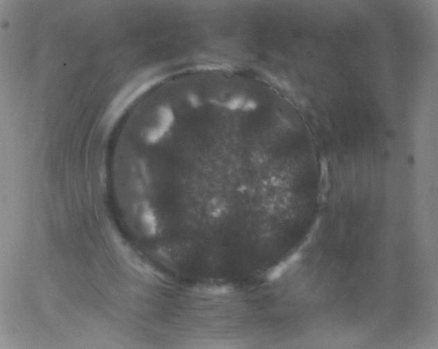 X0000061760247200512231558