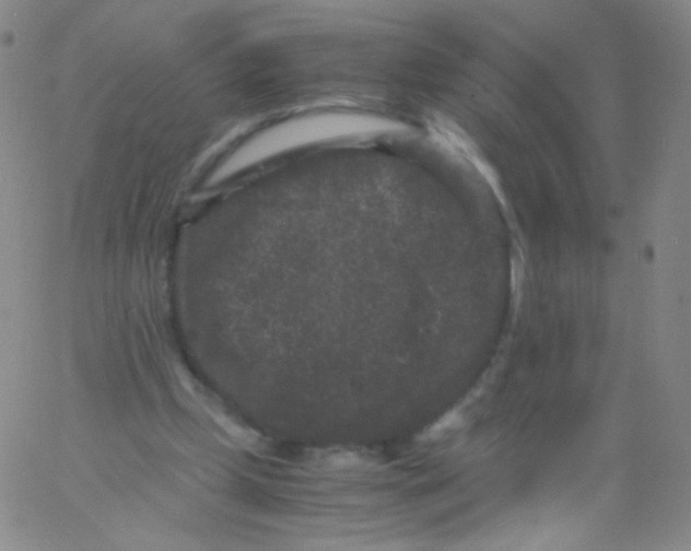 X0000061760249200512231558