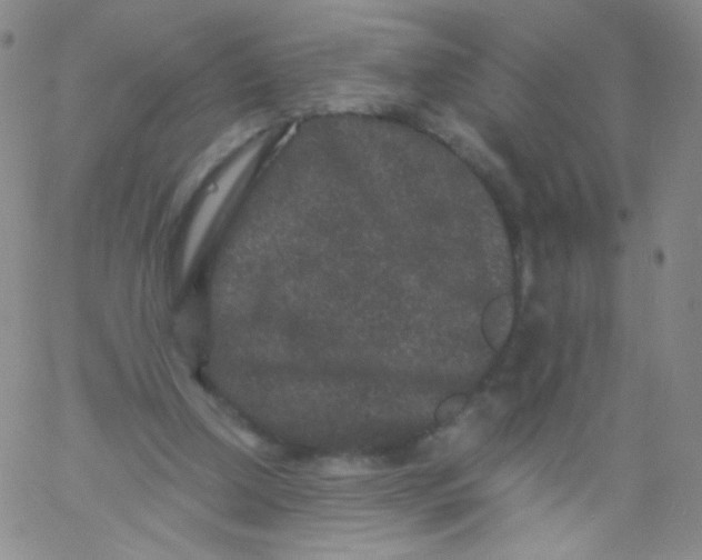 X0000061760250200512231558