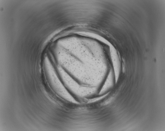 X0000061760252200512231558