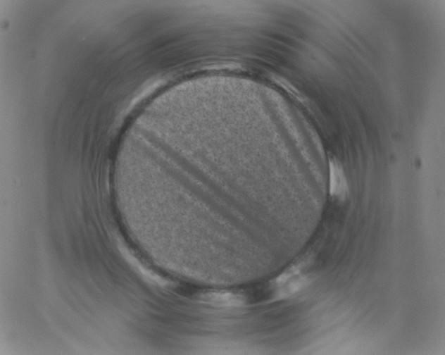 X0000061760253200512231558