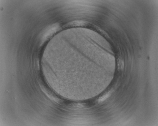 X0000061760254200512231558