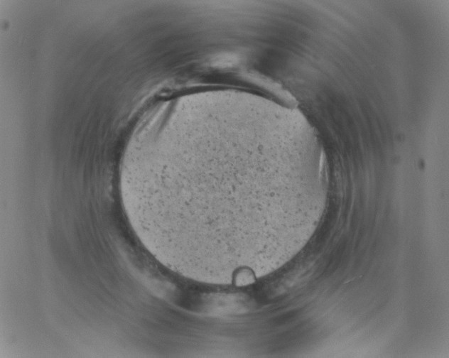 X0000061760255200512231558