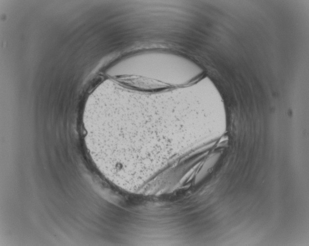 X0000061760256200512231558