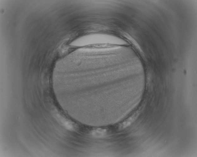 X0000061760257200512231558