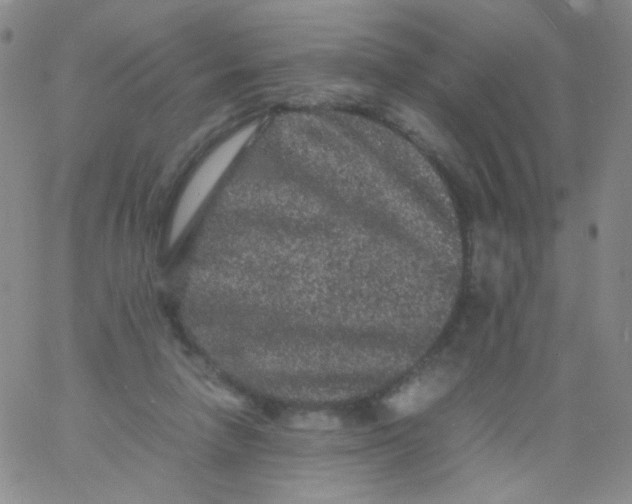 X0000061760258200512231558