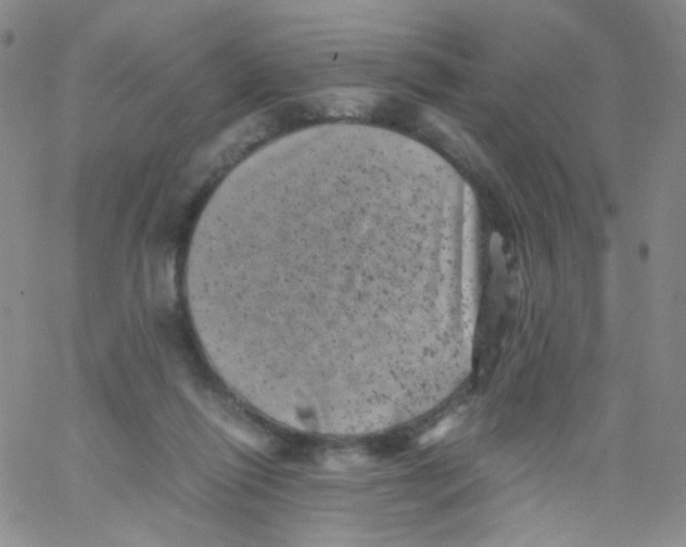 X0000061760262200512231558