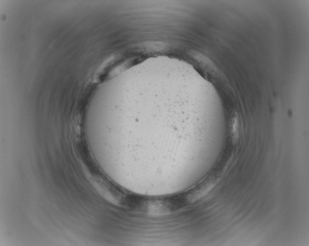 X0000061760264200512231558