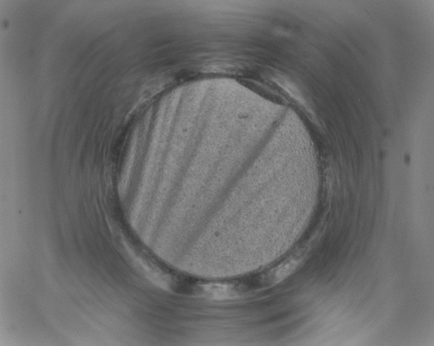 X0000061760265200512231558