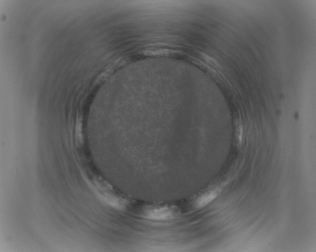 X0000061760267200512231558