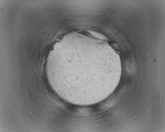 X0000061760268200512231558