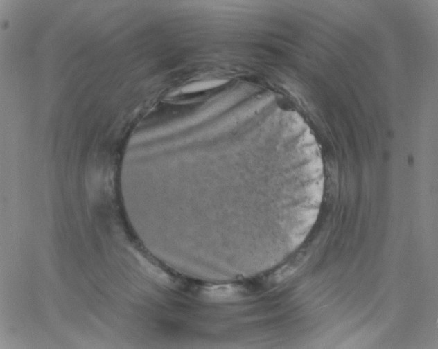 X0000061760269200512231558